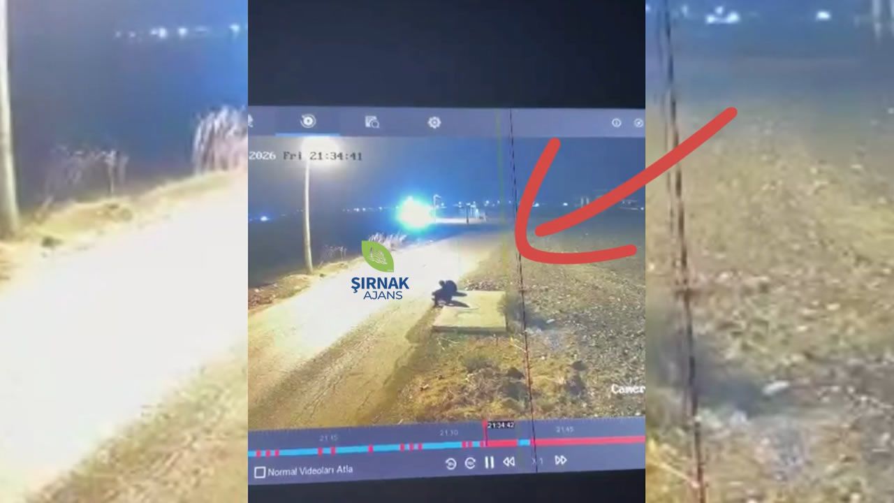 Silopi’de otomobil yol kenarında oturan çocuklara çarptı