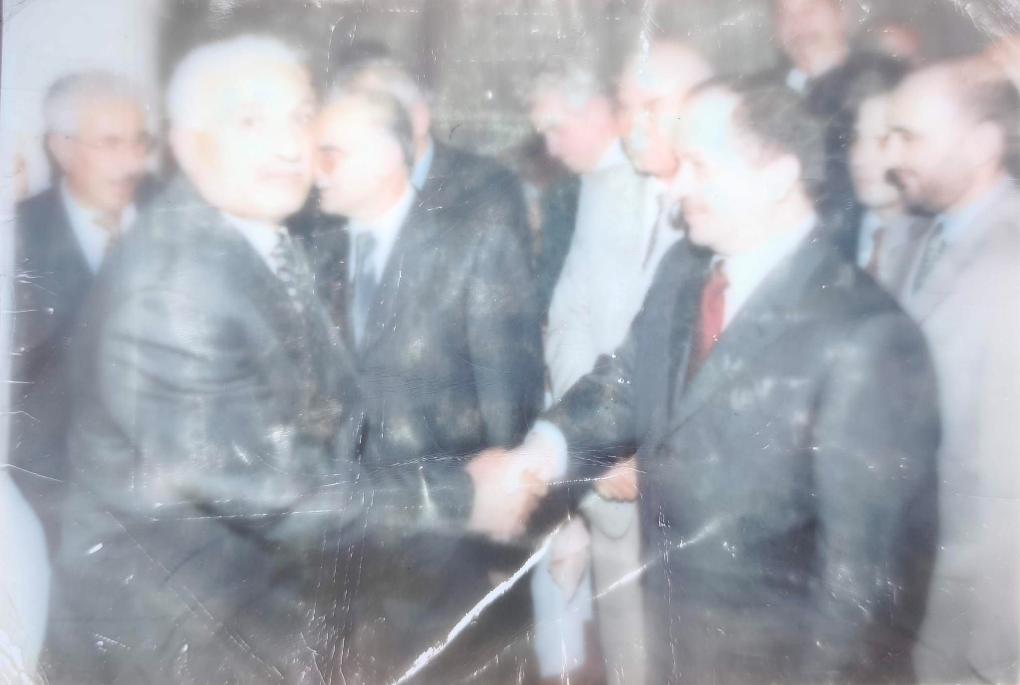 Koca Çınar (2)