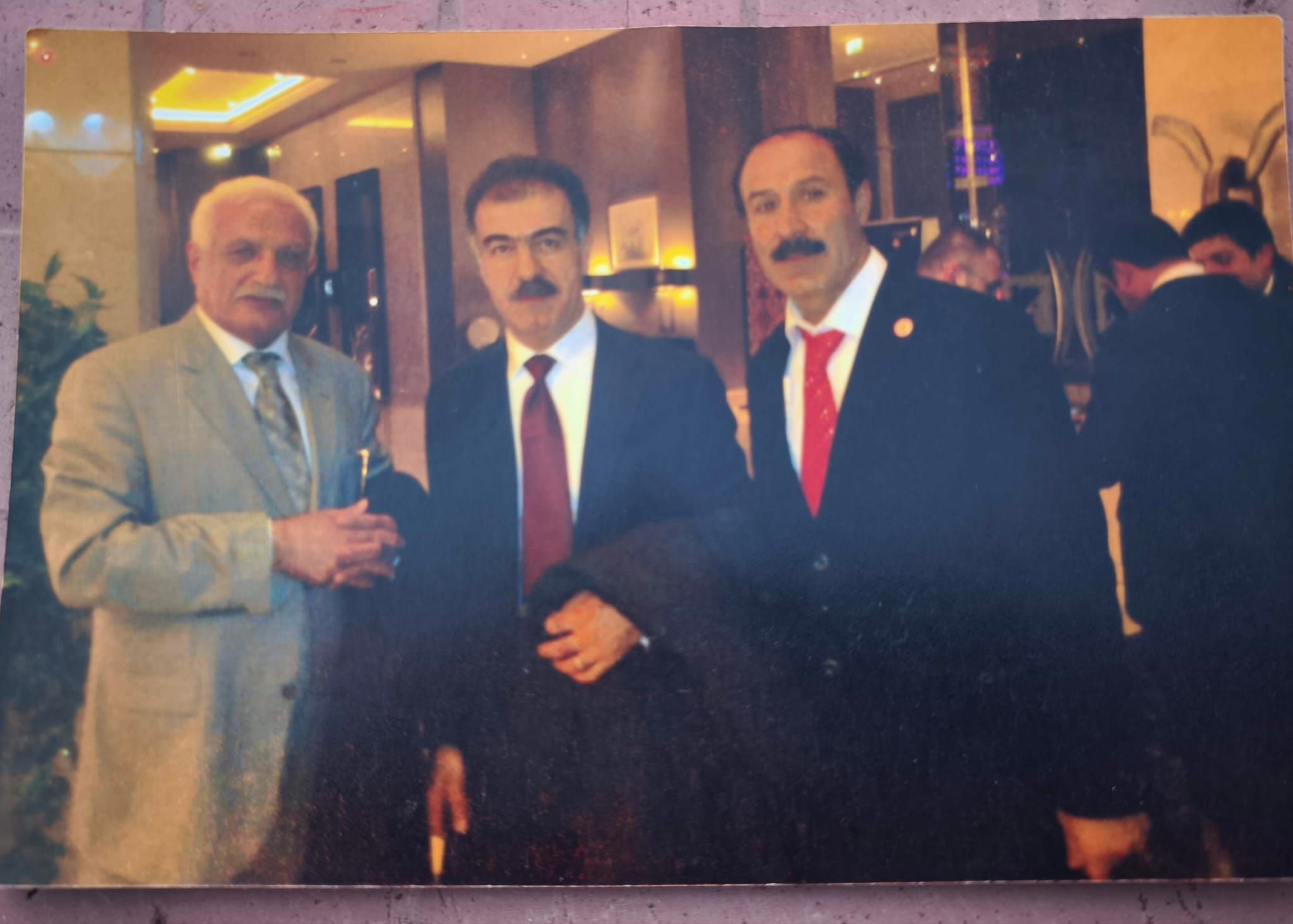 Koca Çınar (4)