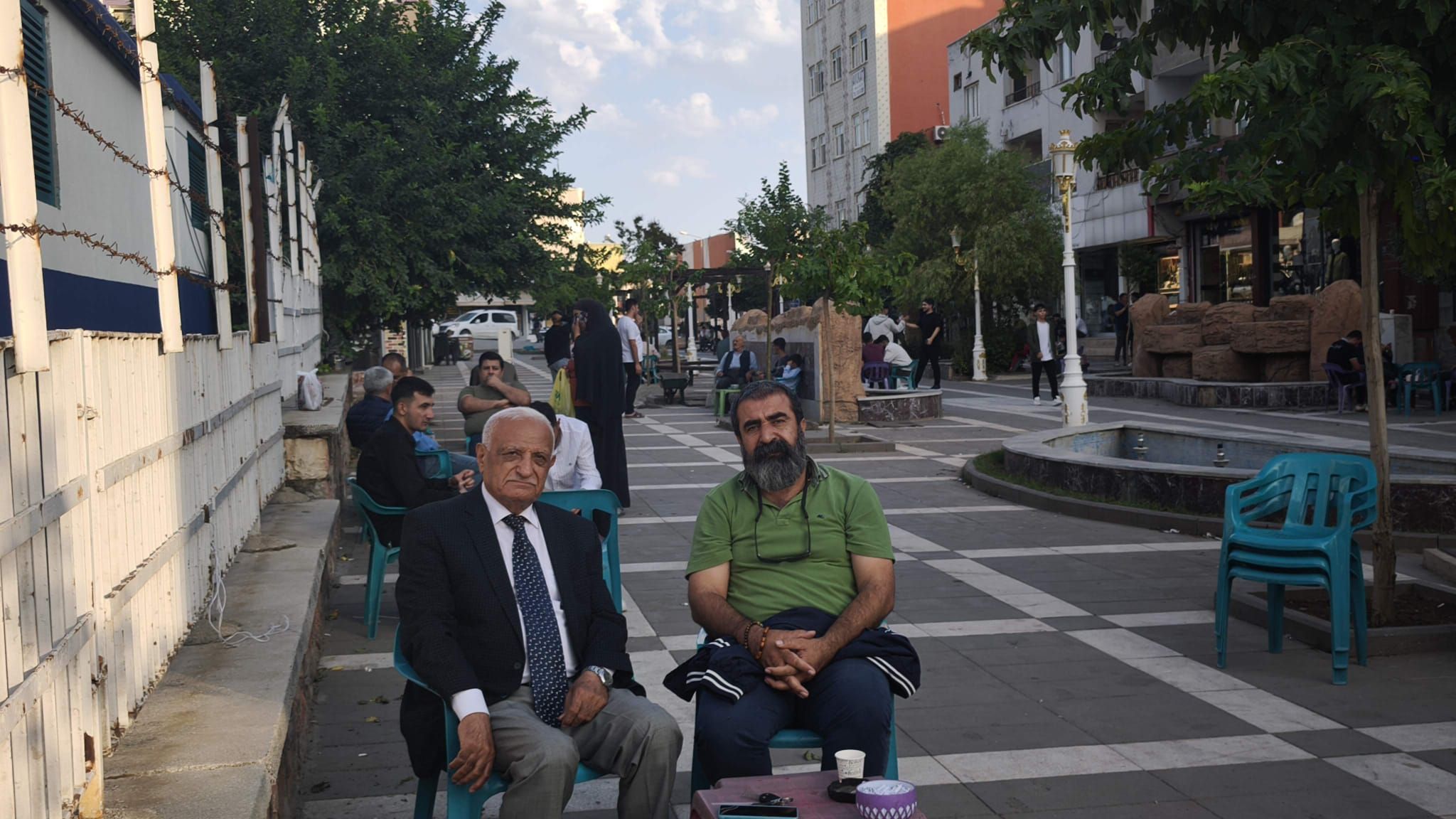 Koca Çınar (7)