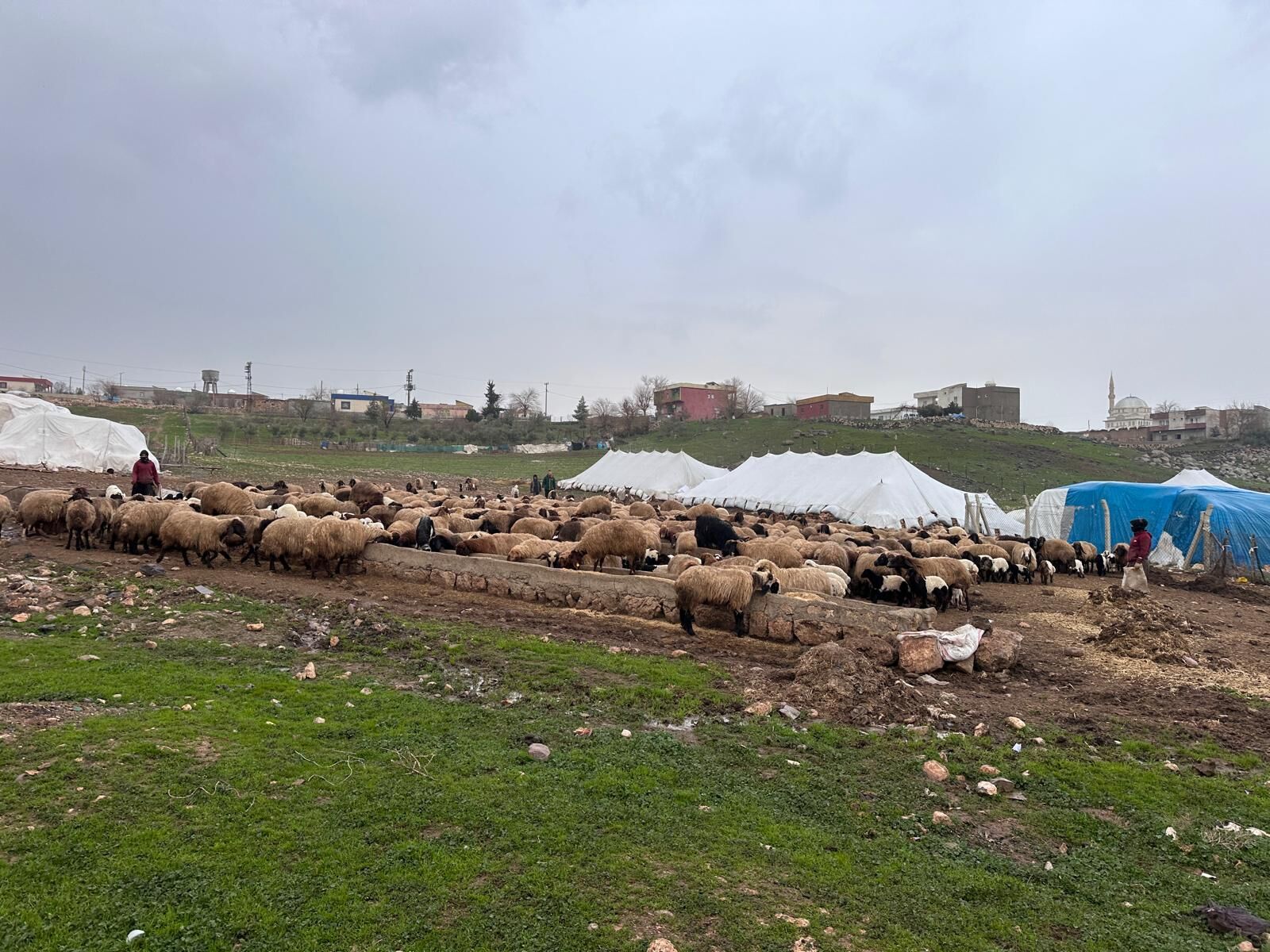 Koçerler (5)