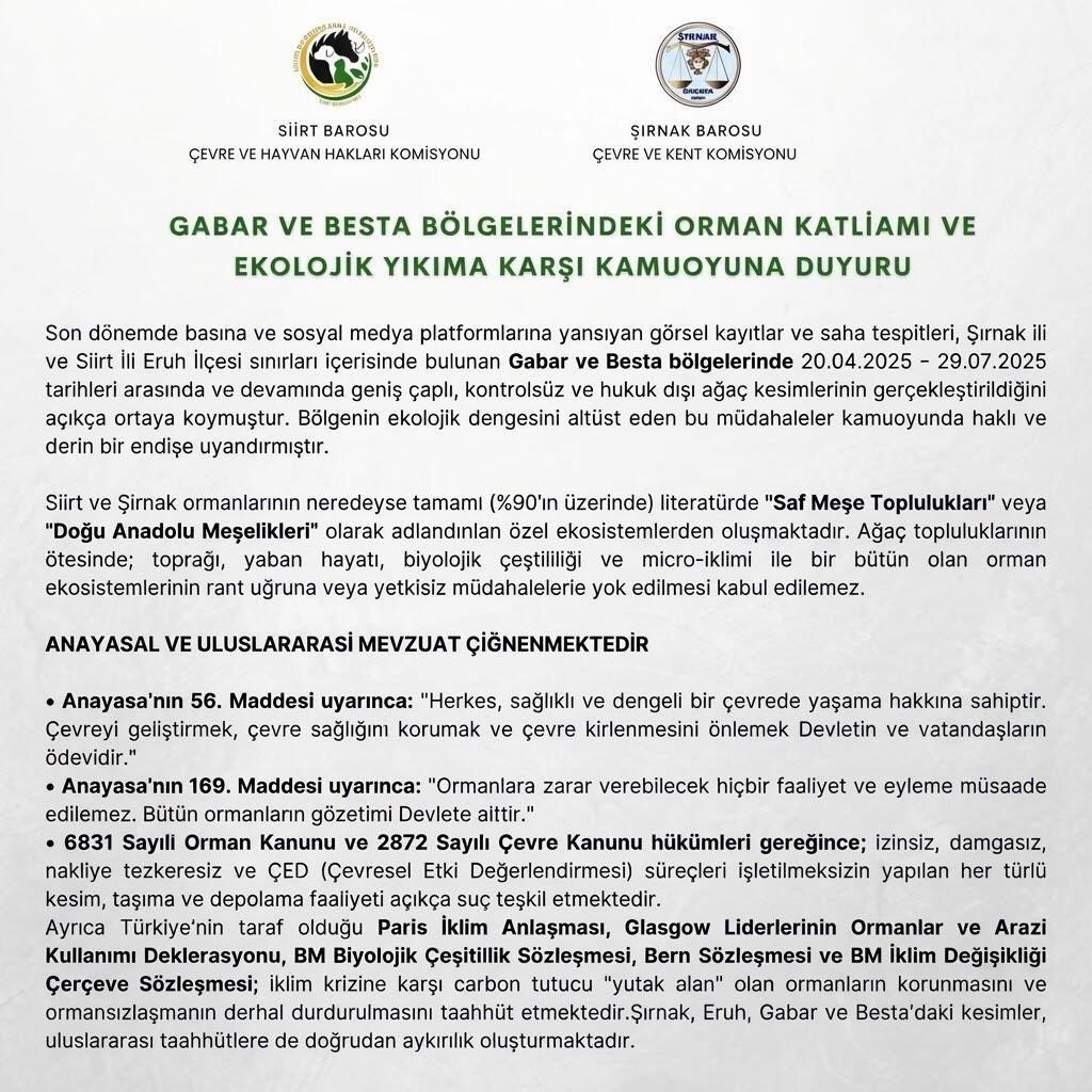 ağaç keism