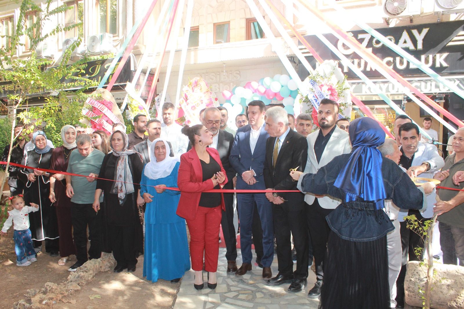 Si̇neğu (10)