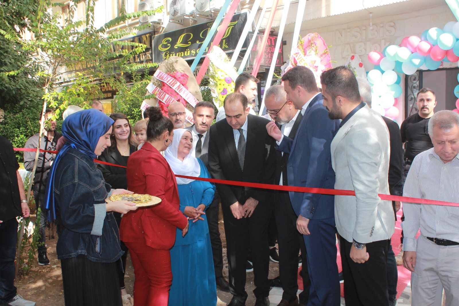 Si̇neğu (2)