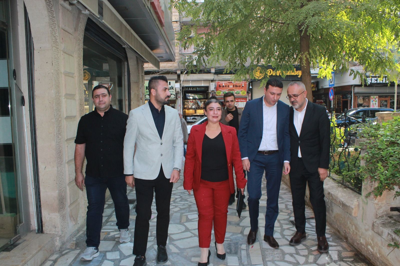 Si̇neğu (6)