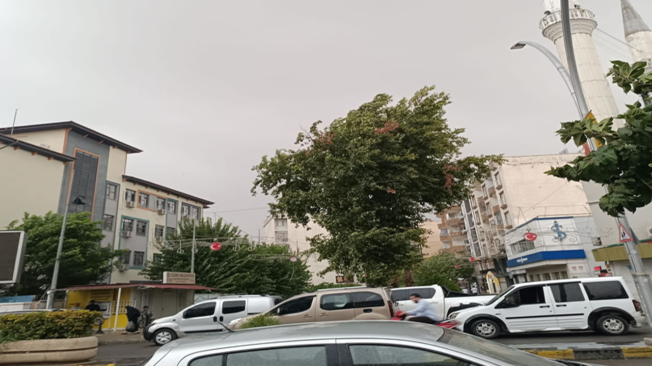 Yağış Cizre1